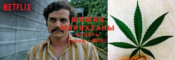 гашик Арсеньев