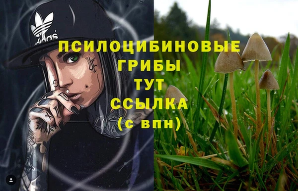 гашик Арсеньев