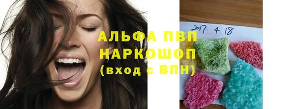 гашик Арсеньев