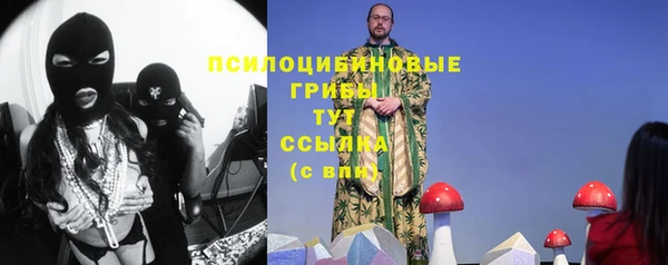 гашик Арсеньев