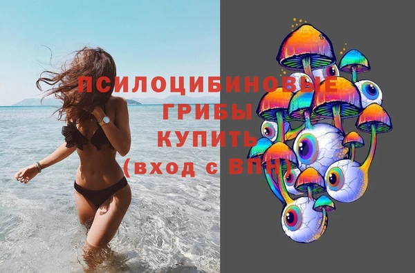 гашик Арсеньев