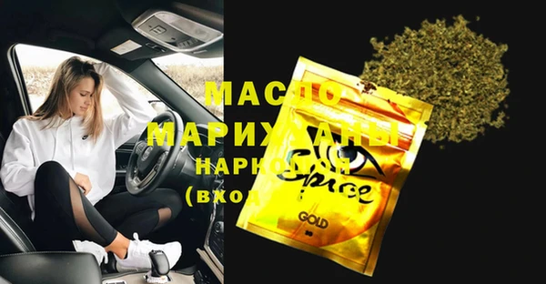 гашик Арсеньев