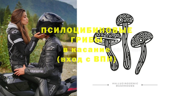 гашик Арсеньев