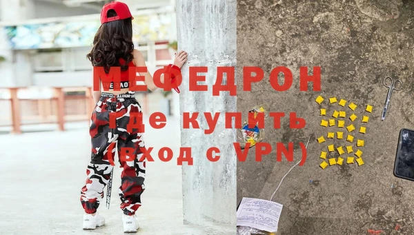 соль ск Ельня