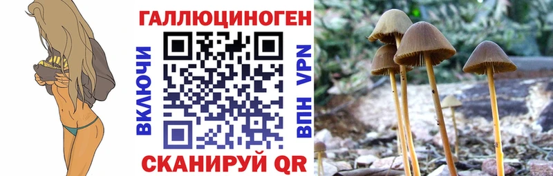 закладка  блэк спрут ссылки  Псилоцибиновые грибы прущие грибы  Мантурово 